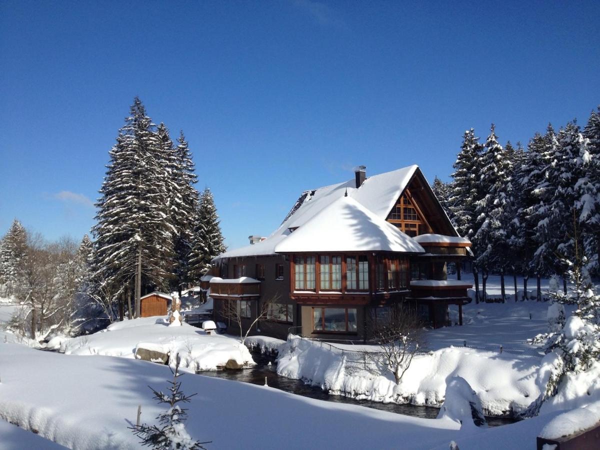 Schwarzwald Lodge Inselklause Шёнвальд Экстерьер фото